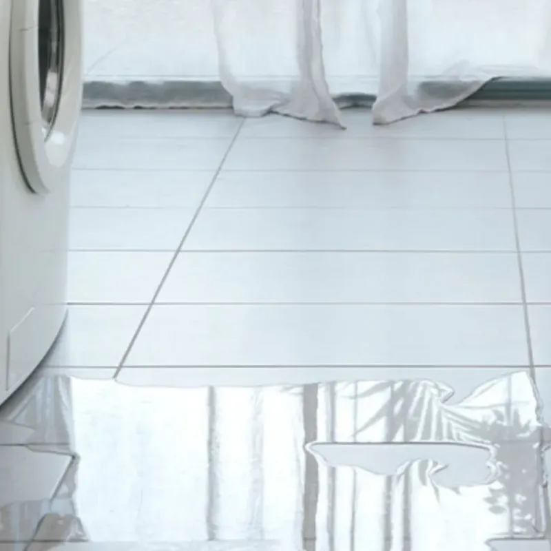 Appliance Leak Cleanup in Clarke County, GA