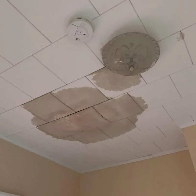 Ceiling Water Damage Repair in Clarke County, GA